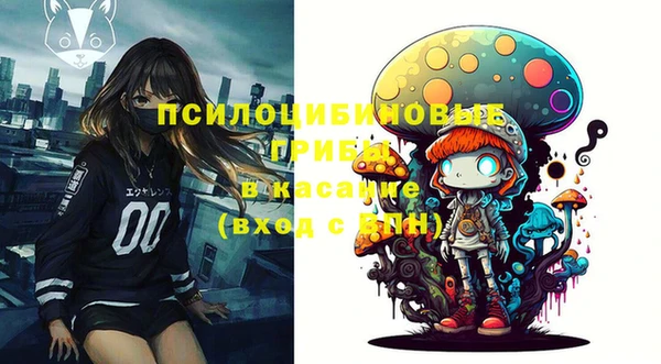 дурь Архангельск